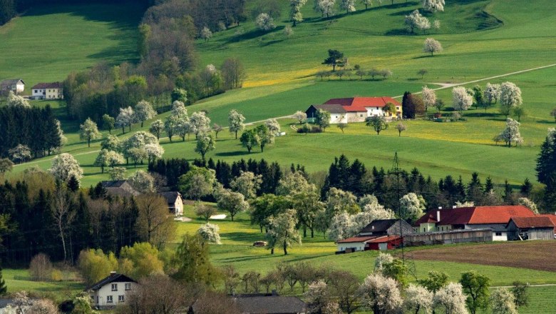 Fotopunkt Kematen, © schwarz-koenig.at