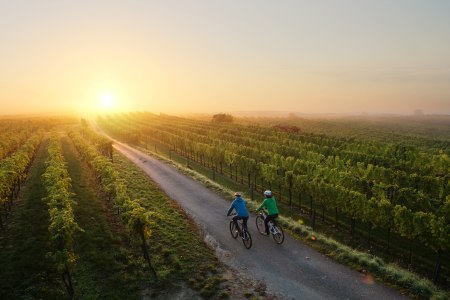 Trasa rowerova Traisental-Radweg, © (c) Mostviertel Tourismus/schwarz-koenig.at