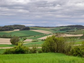 Gemeinde XXL-Runde, © Gemeinde Rußbach