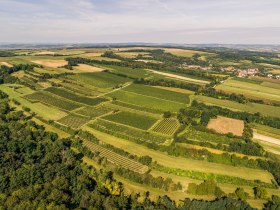 Grossweikersdorf, © Donau Niederösterreich - Kamptal-Wagram-Tullner Donauraum