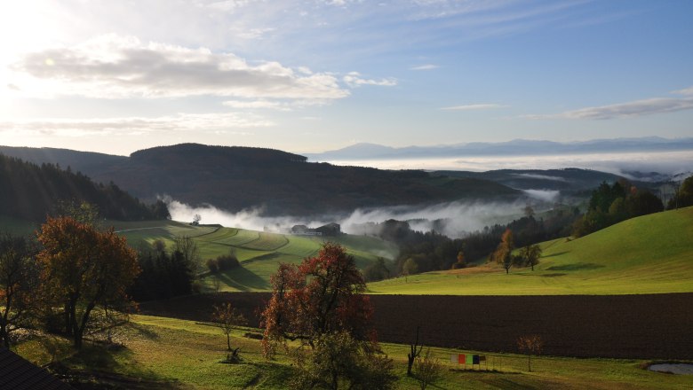 Landschaft im Südlichen Waldviertel, © Hotel des Glücks