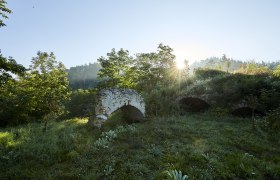 schonbergtourismus_wald_2020-08-22_img_0556_rupertpessl_web, © Rupert Pessl