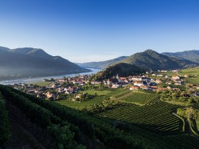 Ausblick auf Spitz im Sommer, © Donau Niederösterreich/Lachlan Blair