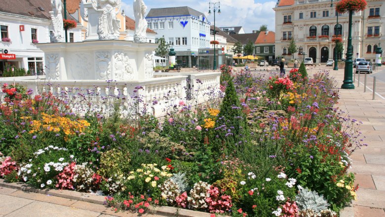 td-hauptplatz-mit-blumen-pestsaeule2-tulln-c-stadtgemeinde-tulln, © TD-Hauptplatz-Pestsäule-c-Stadtgemeinde-Tulln