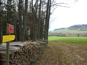 Beginn des Rückweges, © Wienerwald