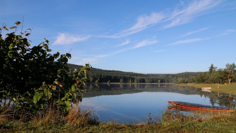 frauenwieserteich-c-broederbauer-qalter14, © Ing. Walter Bröderbauer