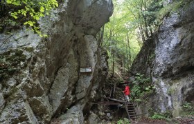 Start der Steinwandklamm, © Wienerwald Tourismus GmbH_Christian Handl