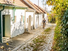 und Kellergasse, © Weinviertel Tourismus / POV Robert Herbst