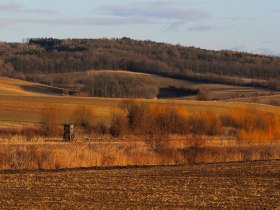 Kreutwald, © Weinviertel Tourismus / Mandl