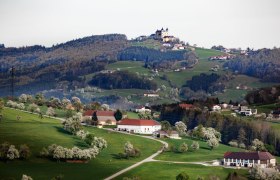 Fotopunkt Barthof Blick Sonntagberg, © schwarz-koenig.at