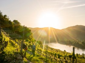 Achleithen, © Wachau-Nibelungengau-Kremstal