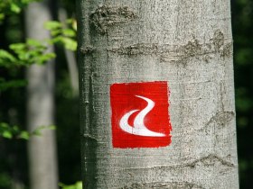 Markierung alpannonia-Hauptweg, © Walter Laschober