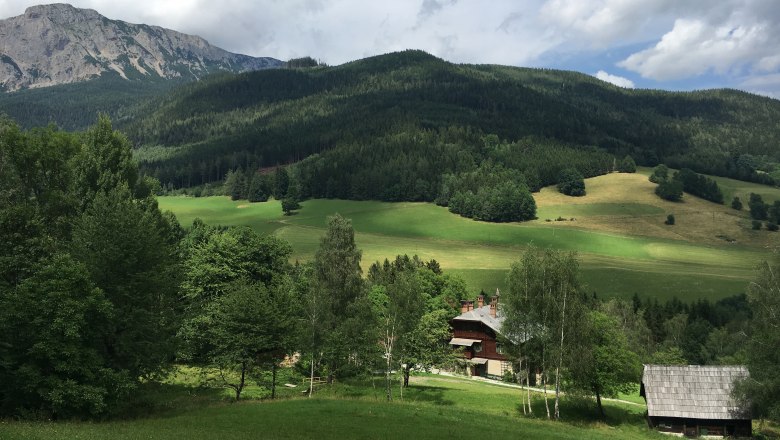 Riegelhof mit Tenniwiese, © Riegelhof