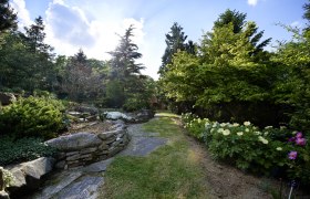 Natur im Garten, © Alexander Haiden