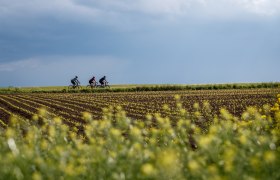 Pankraz-Radweg durch Weinberge, © Erwin Haiden