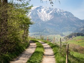 Grünbacher Sattel, © Wiener Alpen in Niederösterreich