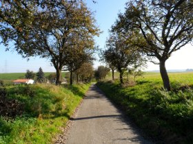 Idyllischer Rastplatz, © Mostviertel - OÖ Mariazellerweg