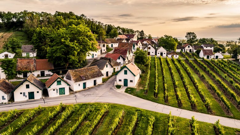 Zahlreiche Presshäuser zieren den Galgenberg, © Niederösterreich Werbung / Robert Herbst