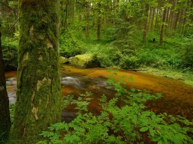 Kleiner Kamp - Schütt, © © Matthias Schickhofer