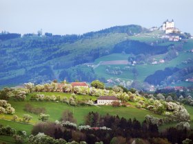 Blick auf Sonntagberg, © weinfranz.at