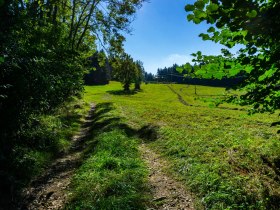 Richtung Bergern, © Gottfried Grossinger