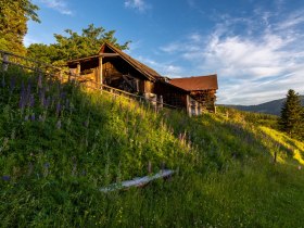 Weitwanderweg, © Wiener Alpen in Niederösterreich