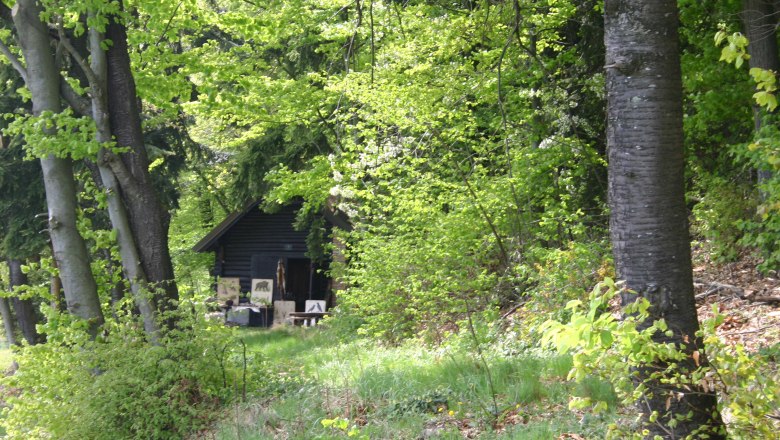 waldschule-hauschen_klein_c_marcus-zuba, © Marcus Zuba