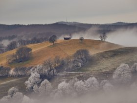 Winterwandern, © Wienerwald Tourismus GmbH / Andreas Hofer