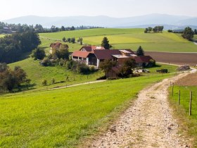 Landschaft bei Pichl, © Walter Laschober