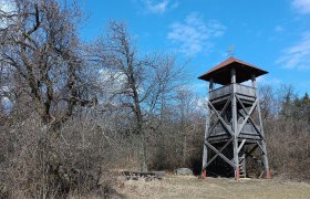 Aussichtswarte Kattau, © Gemeinde Meiseldorf