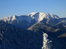 Blick auf den Schneeberg, © Wiener Alpen in Niederösterreich - Schneeberg Hohe Wand