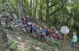 Naturpark im Wald - Josefspark 3, © Marktgemeinde Sieghartskirchen