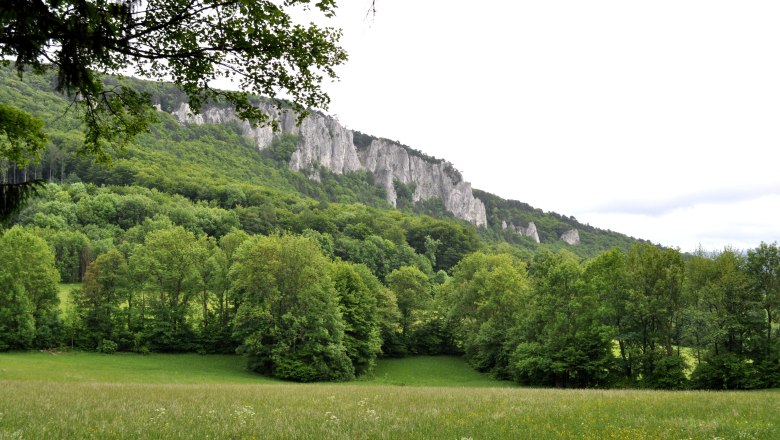 peilstein-kletterwand2_wienerwald-tourismus-gmbh_bauer, © Wienerwald Tourismus