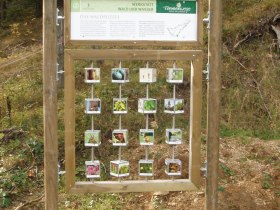 Das Waldpuzzle, © ©Rohr im Gebirge, Foto Bernd Hauer