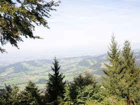 Ausblick Grüntalkogelhütte, © Doris Schwarz König