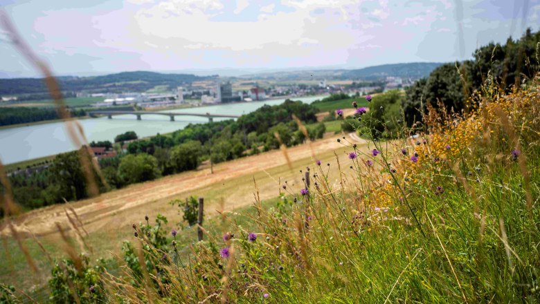 Ausblick vom Rindfleischberg, © Robert Herbst