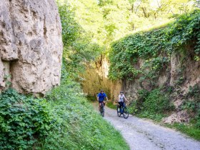 Hohlweg im Kamptal, © POV Robert Herbst