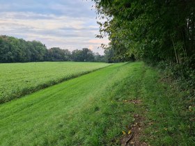 Weg am Waldrand, © Andreas Aigner