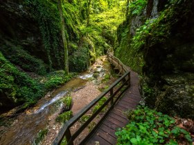 Johannesbachklamm Würflach, © Wiener Alpen in Niederösterreich - Schneeberg Hohe Wand