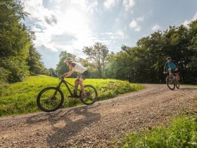 MTB Wienerwald, © Wienerwald Tourismus GmbH / Markus Frühmann