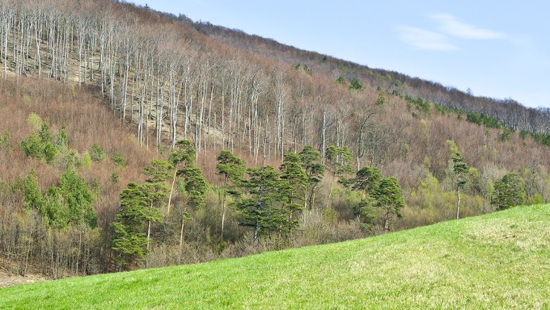 Naturpark Purkersdorf, © Verein Naturparke Purkersdorf