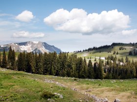 Feldwiesalm, © Mostviertel