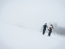 Winterwandern, © Waldviertel Tourismus, Studio Kerschbaum