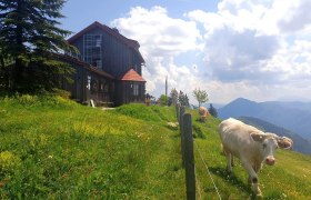 Julius Seitner Hütte, © Martina Bauer