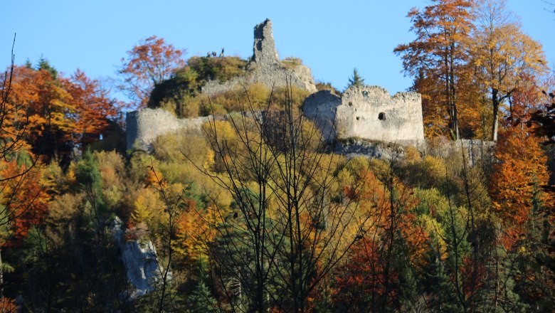 Burgruine Hohenberg, © Marktgemeinde Hohenberg