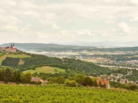 Nibelungengau im Sommer, © Klaus Engelmayer