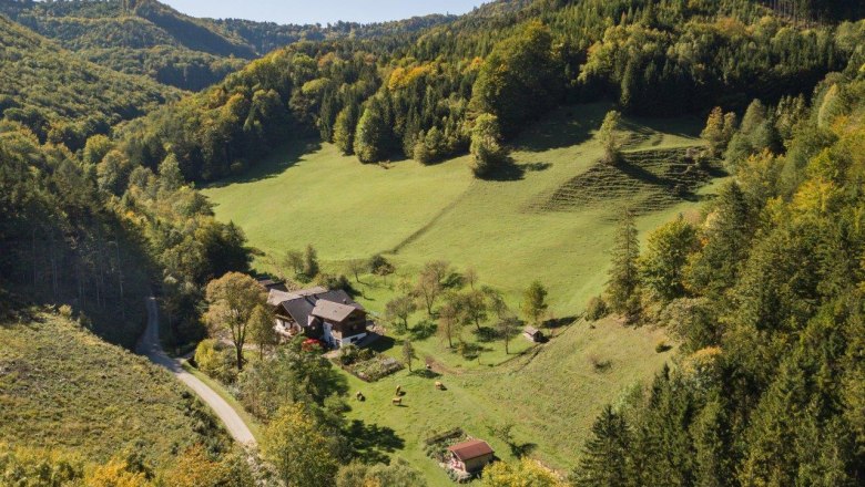 biohof_lueg_mitten_im_wald, © zVg Fam. Fallmann