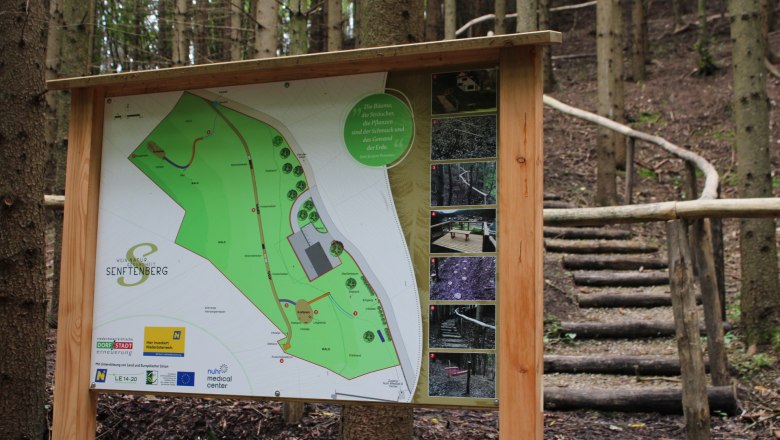 Infotafel im Heilwald Senftenberg, © Donau NÖ Tourismus GmbH