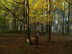 Eichgrabner Höhenwanderweg, © FVV Eichgraben Heinz Siegmeth