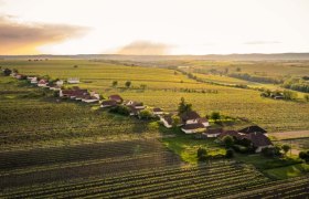 Kellergasse Zellerndorf, © Weinviertel Tourismus / Herbst